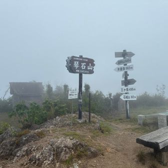 頂上。真っ白。ここは周防大島やら瀬戸内海やら抜群の眺望を誇る。はず。琴石山、よく整備されて歩きやすい山でした。