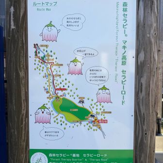 次はサラサドウダン🌸の時期に来たい🥰