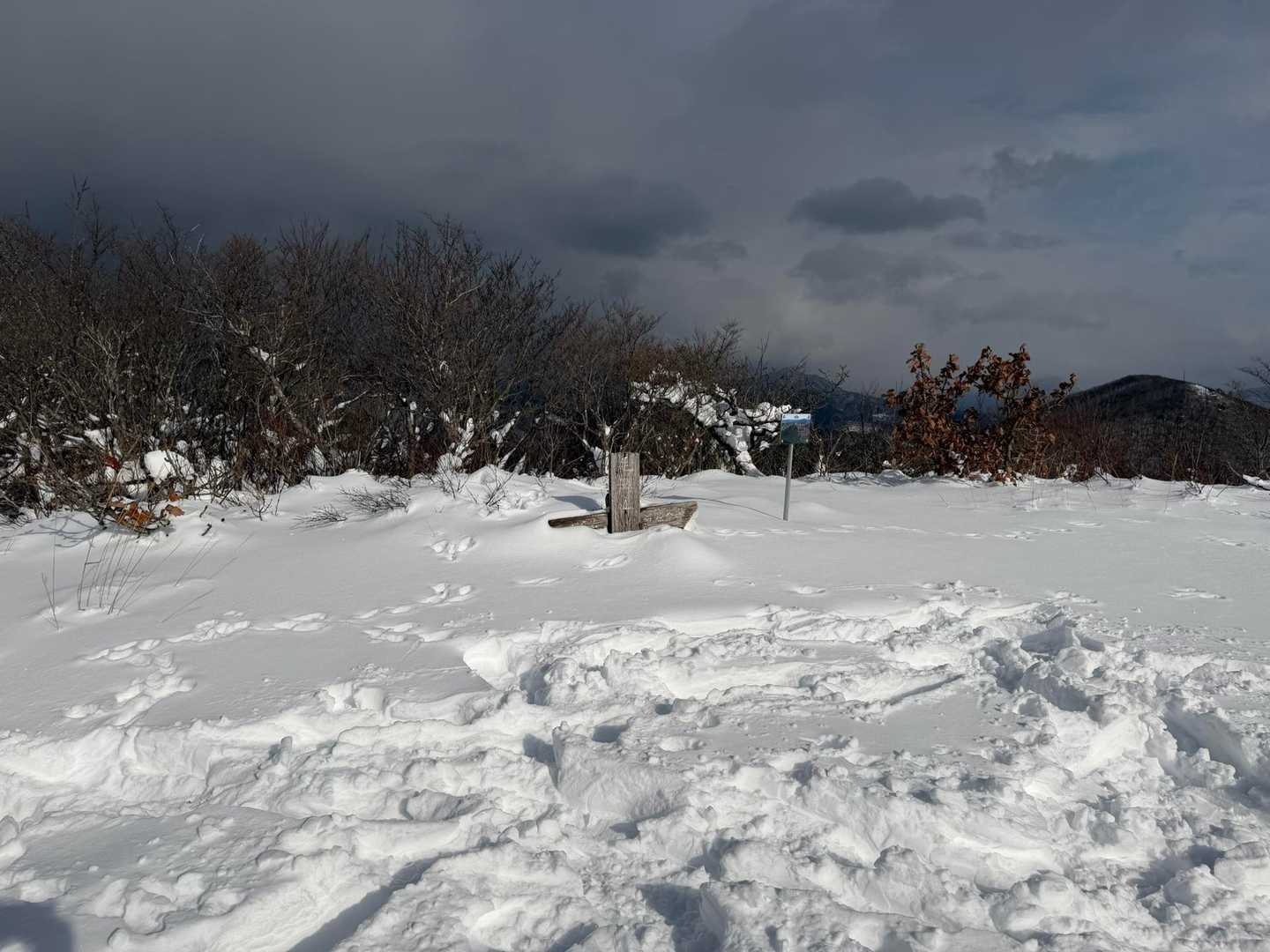 毛無山山頂標柱はここまで埋まってます