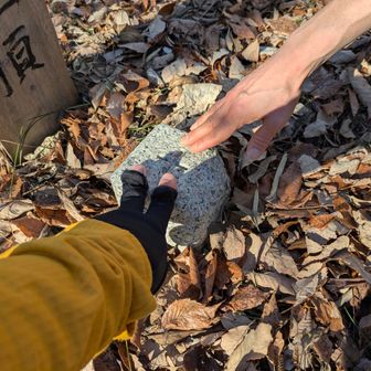 結局北尾根を進んでしまったらしい😅
メイン道に来てしまった。
五社山山頂が目の前なのでポチッと😀