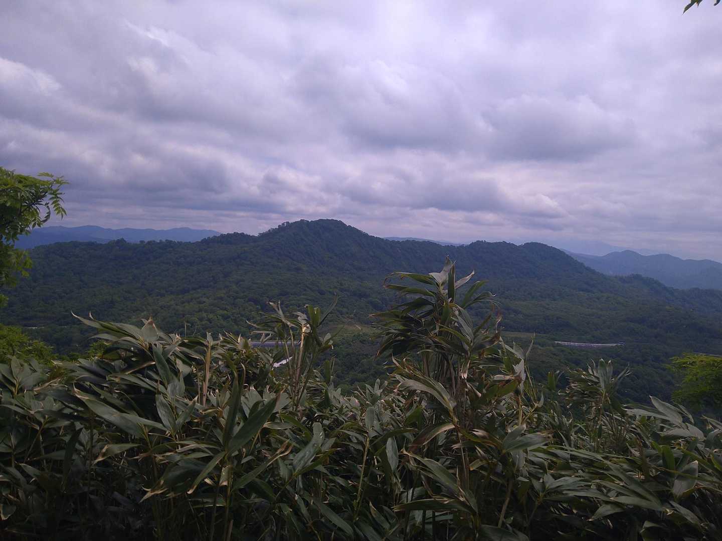 見渡すと先ほどいた当丸山
