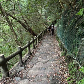 帰り道は川の反対側の散策路へ