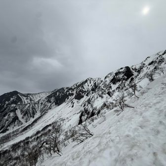 目に焼き付けます
