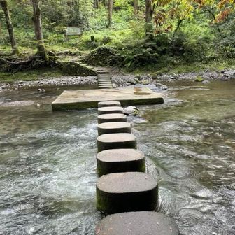 渡ってみたかったドレミファ橋