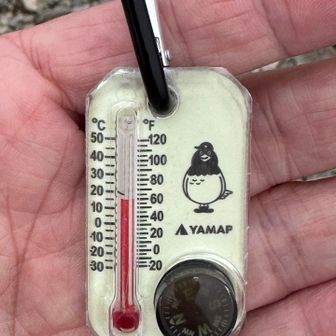 気温は15℃🌡️