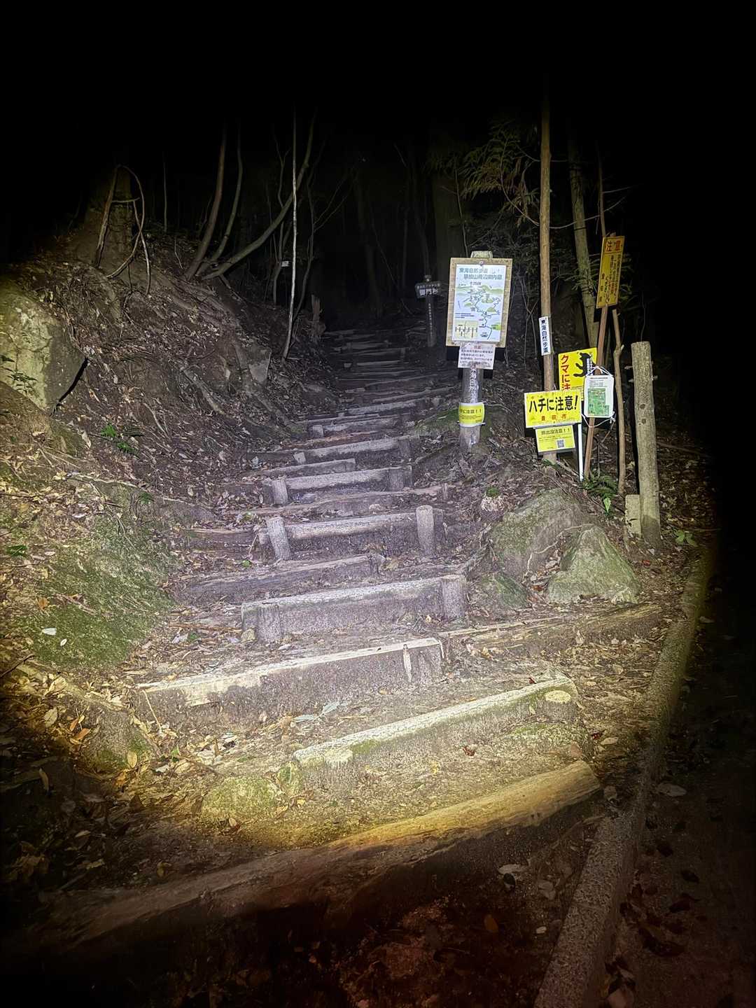 猿投山登り口-御門杉-東の宮-猿投山 往復コースの写真