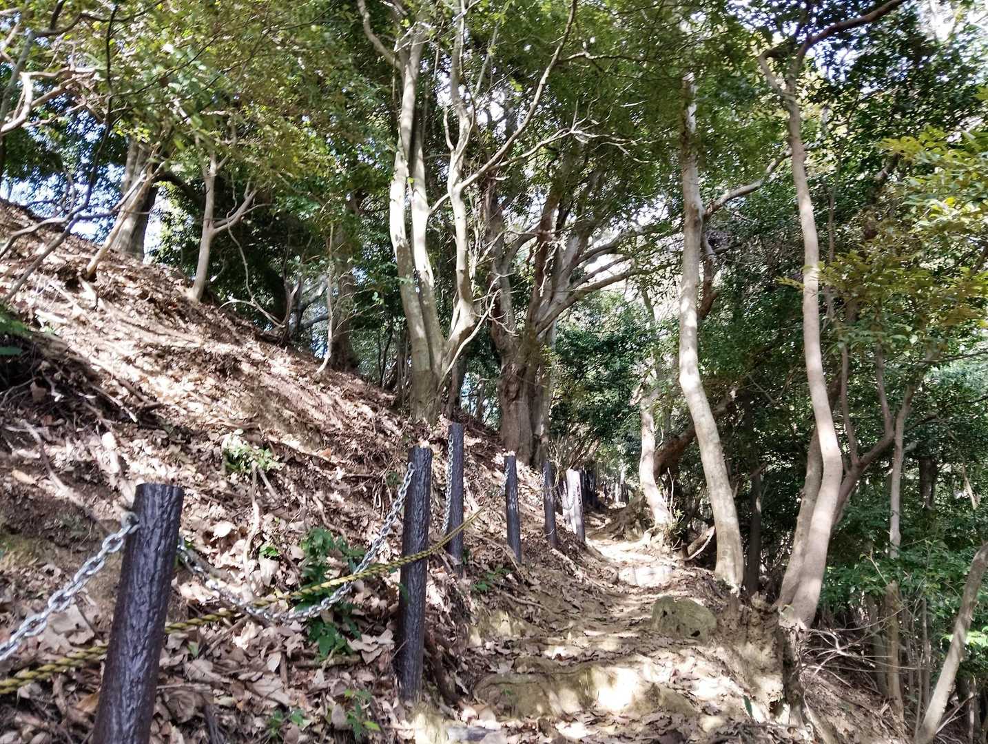 登りで小汗をかかないよう、ゆっくり登る。

それでもぜーぜーと息切れ🥹