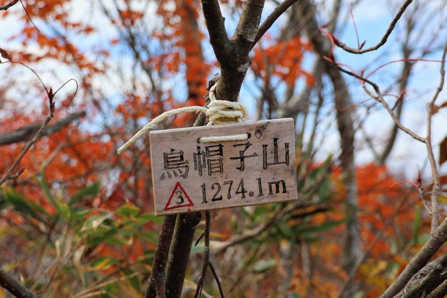 烏帽子山-鋲ヶ岳 周回コースの写真