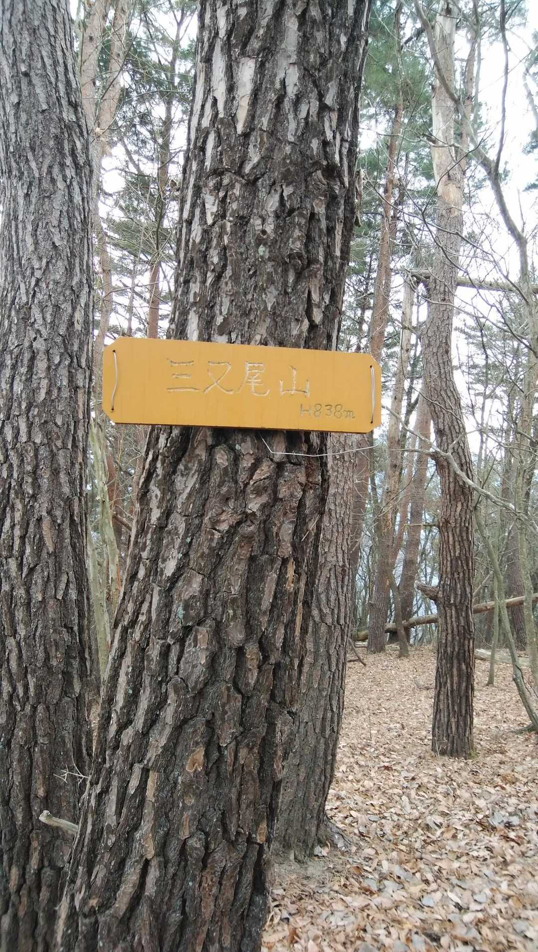 三ッ俣尾山