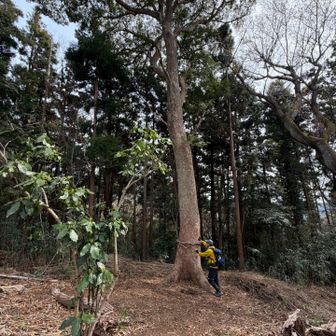 パワースポット

と書いてありました
触りたくなる不思議（笑）