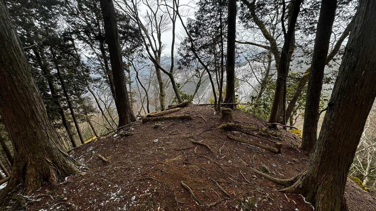 奥多摩、石尾根テン泊縦走（鴨沢〜七ツ石山〜鷹ノ巣山〜六ツ石山〜奥多摩駅） の写真 90