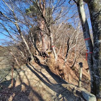 稜線に出て後沢乗越から鍋割山方向の山道を見る💡乗越の前後は少しヤセ尾根になっている