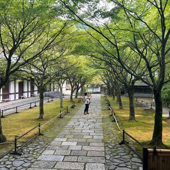 ここの緑は綺麗でした。紅葉したらまた来たいです。
