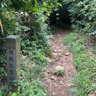40分ほど歩いてやっと登山口