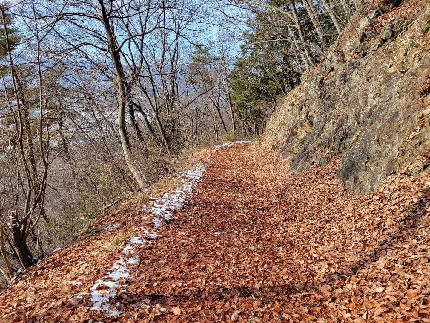 枯れ葉ZONE🍂🍂🍂🍂🍂