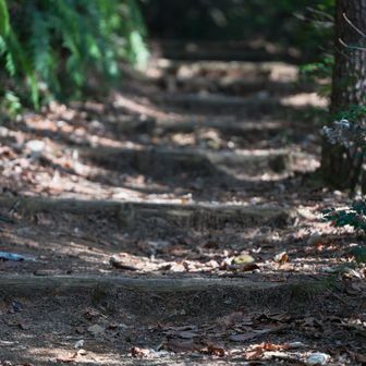 残念！今日はご不在でした⤵
