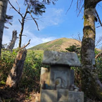 ほとんどスライドする人居ないので祠にこんにちはします