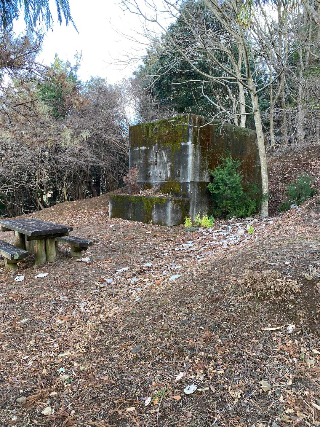 水とエネルギー館-高取山 往復コースの写真