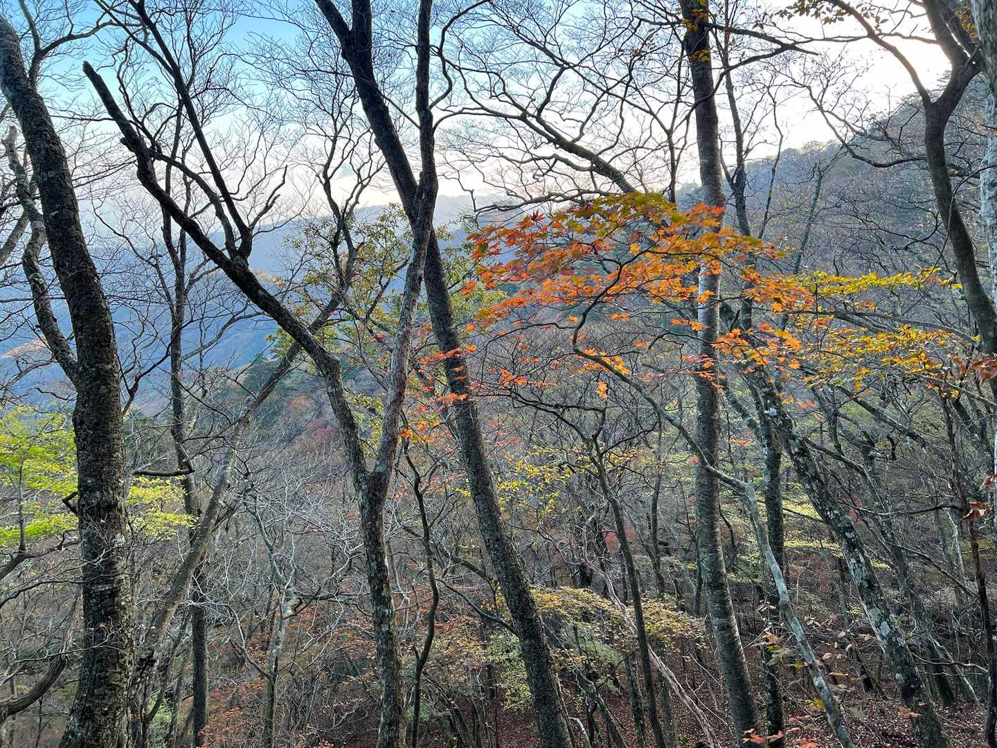 神原登山口-国観峠-祖母山 往復コースの写真
