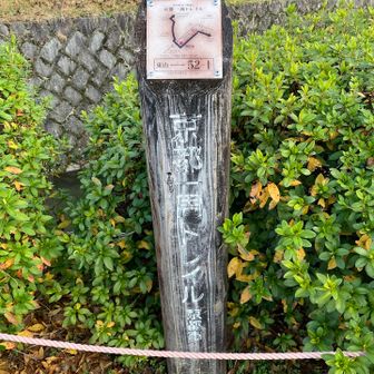 京都一周トレイルをなぞっていきます