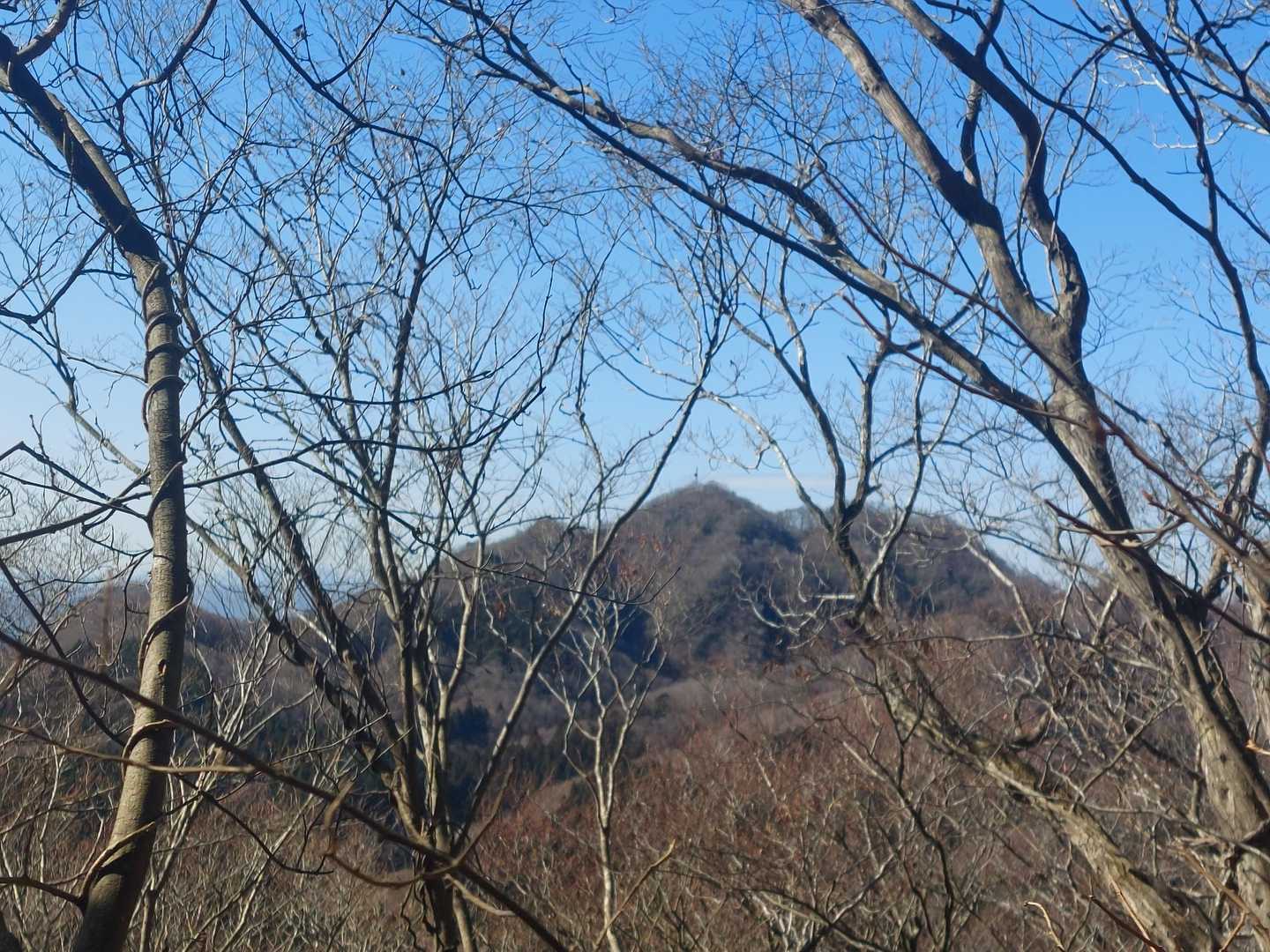 裏からチラリと奥久慈男体山🎵