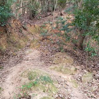 中宮を過ぎると、いよいよ本格的な登山道が始まります。