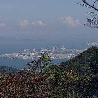 多度津のキリンの群れはここからも見える
(by zelda=バンドです)