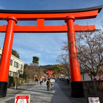 降りてきて大鳥居⛩️