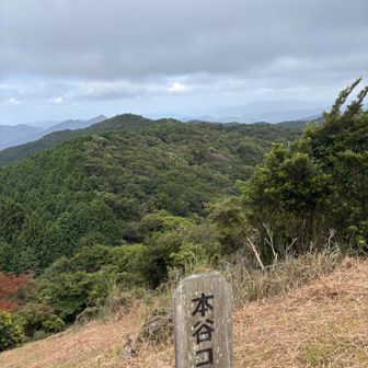 ここから登ってきたんです。来た道を見下ろす感じに撮影