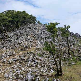 カルストすげーな。
