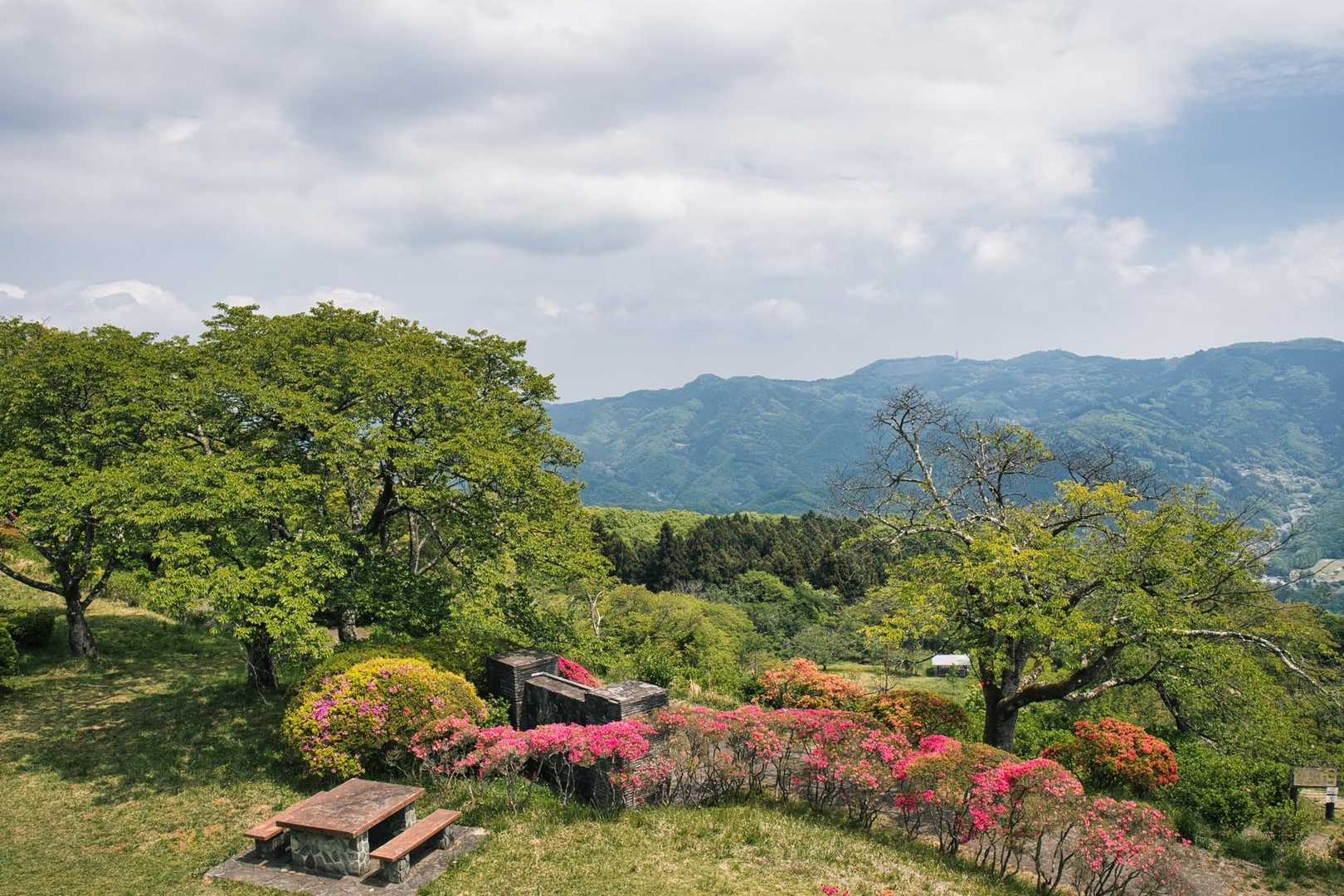 展望台からの眺め