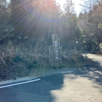 やっと庭田山頂園地に着きました