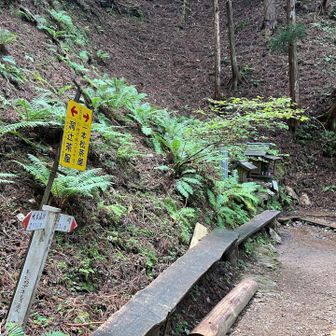 お助け水　あまり冷たくはなかった。
