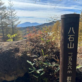 ピークハントできてよかった
