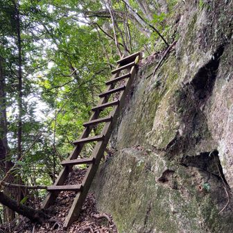 こうゆうの下る