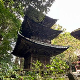 林道をグネグネ登ると西明寺。
奈良時代創建で、三重塔がある古刹。
駐車場は朝から賑わっていた。