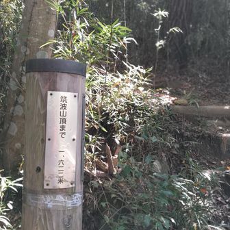 ここから後半戦。まもなく「階段地獄」。