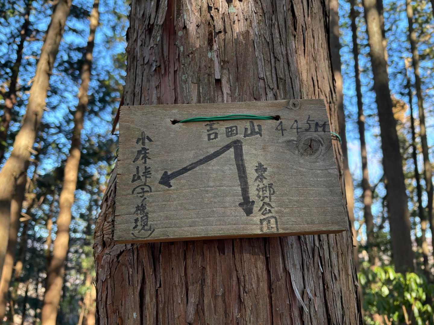 こちらも😊