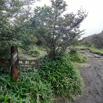 荒山高原分岐1回目