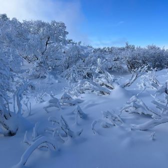 ほらね
ちょっと左右動かしただけで、、、

実際は、
こんなに空の色違わなくない