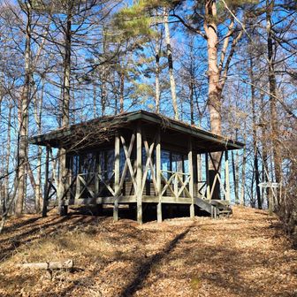 直に大見山山頂到着！