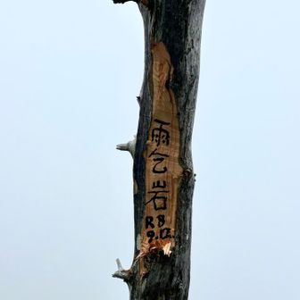 シンボルツリーが ……しかも…
昨日の日付じゃねぇーー かっ‼️
誰の仕業…… いけてないゾォー💢😤
って感じるのは、私だけなのか…

※ ローカルの方が書かれたのでしたら、すみません🙇‍♂️