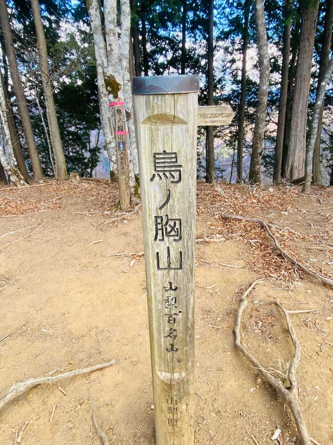 中山バス停-鳥ノ胸山 往復コースの写真
