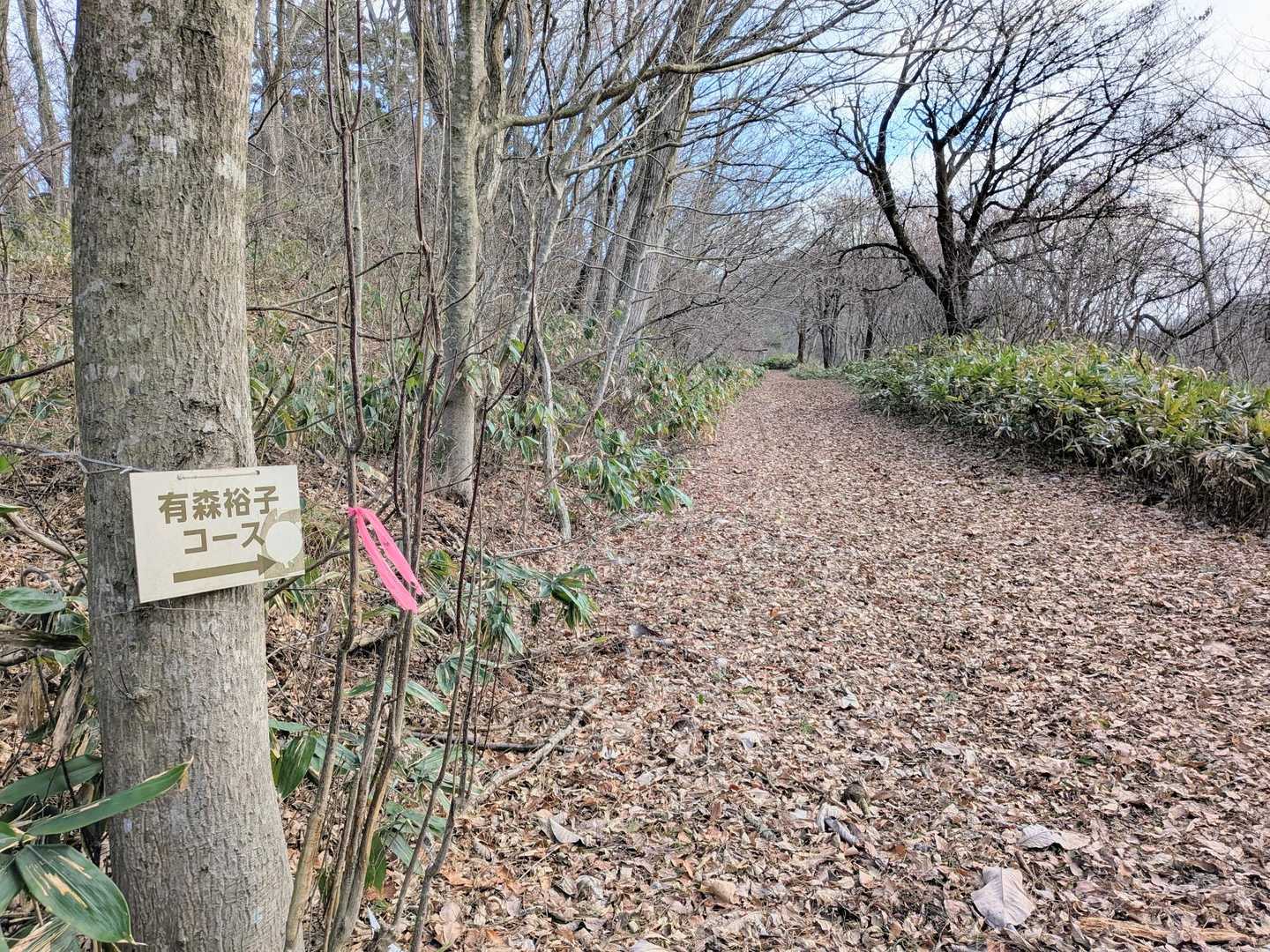 有森裕子コースを走ってみる🏃‍♀️‍➡️