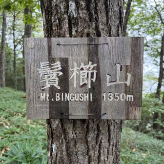 一気に飛んで鬢櫛山到着
今回はずっと樹林帯歩きなんで暑さと虫との戦いです🙄