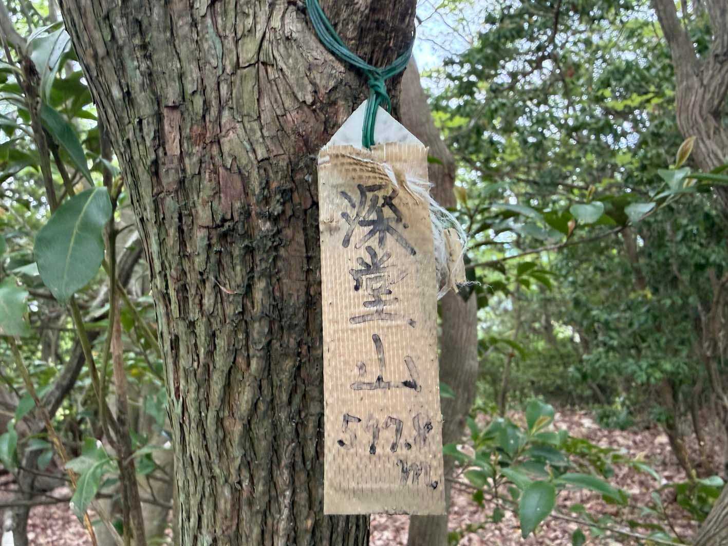 深堂山山頂②
