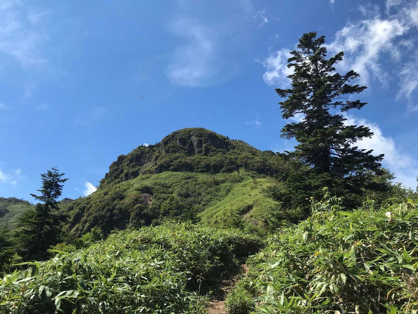 セビオス岳-武尊山 往復コースの写真