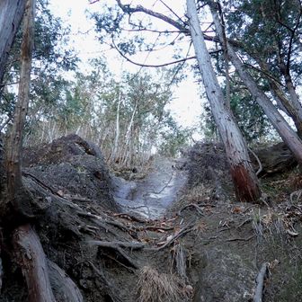 あれ〜　🐒猿岩🐒
下から見ると行けんじゃね？

っと、ちょっと感じてる🪇
