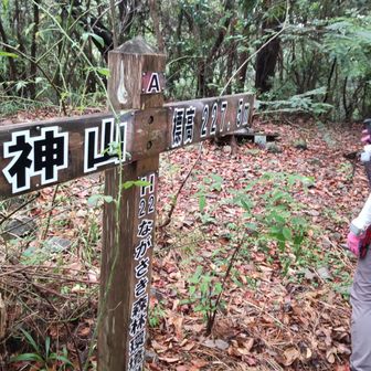 立神山