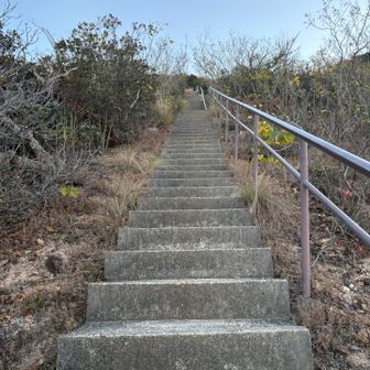 ひたすら登ります🥲